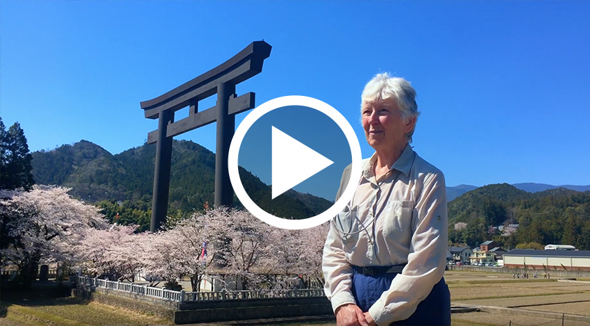 Hiking & Culture Experience in  Japan.