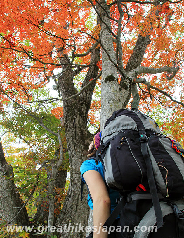 hiking in Japan