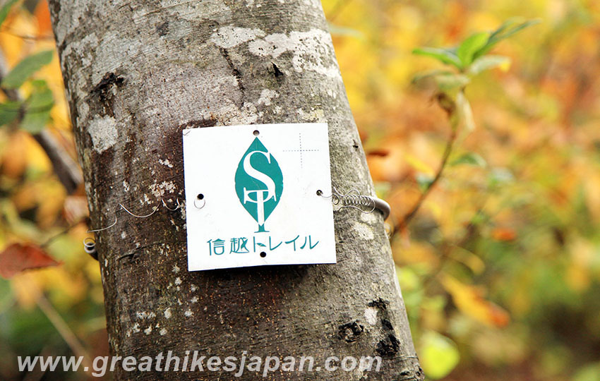 hiking in Japan