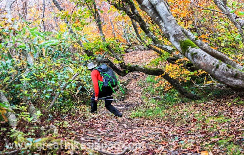 hiking in Japan