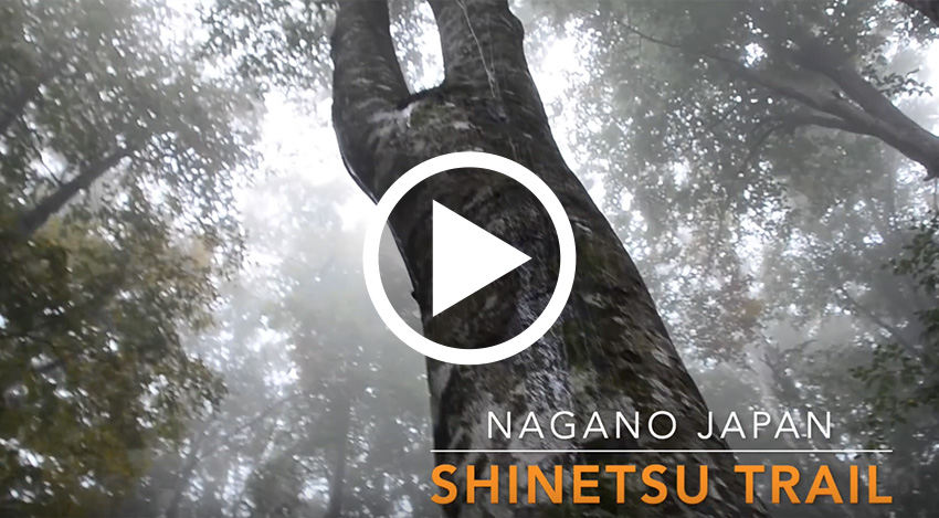 Hiking & Culture Experience in Japan.